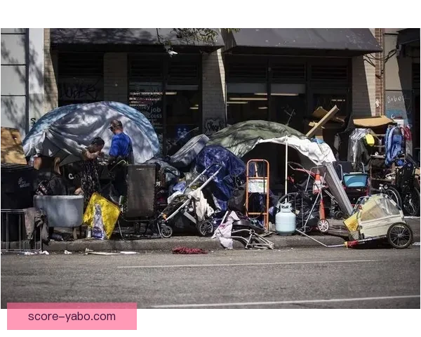 美加墨三国联合举办世界杯城市全景探索与文化盛宴